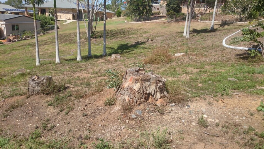Gympie Stump Grinding