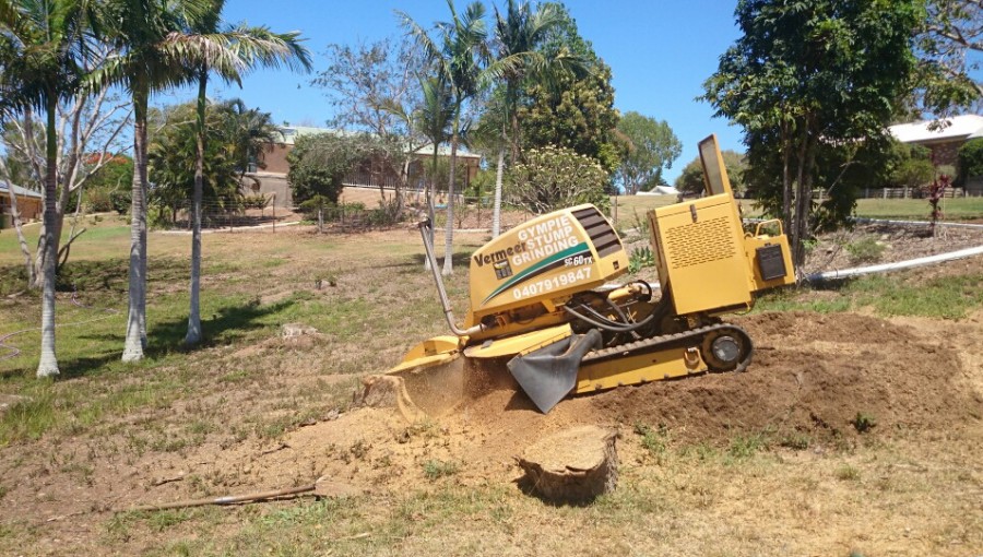 Stump Grinding