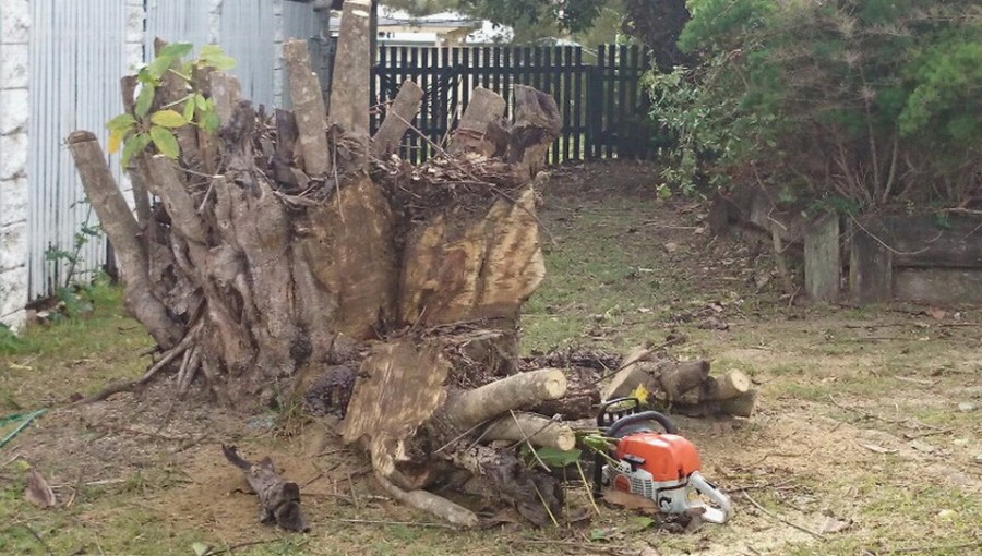 Gympie Stump Grinding