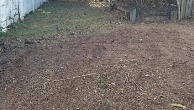 Gympie Stump Grinding