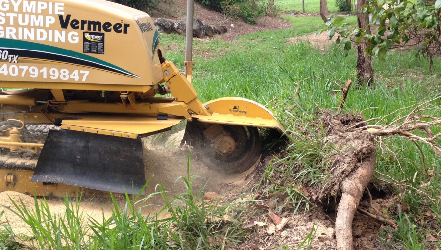 Gympie Stump Grinding