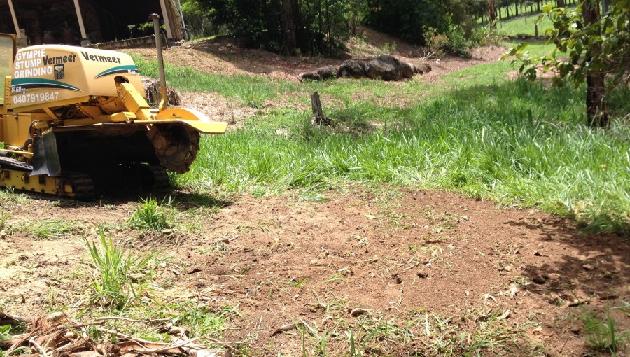 Gympie Stump Grinding