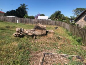 Tree stump removal